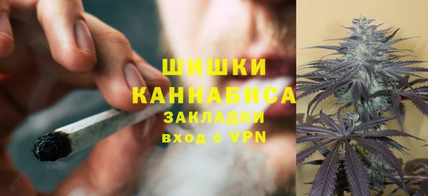 сатива Алзамай