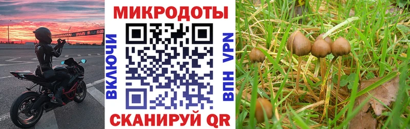 МЕГА как войти  Ардон  Псилоцибиновые грибы Magic Shrooms 